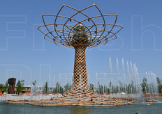 Giochi d'acqua intorno all'Albero della Vita. Il Lake Arena, specchio d'acqua su cui si affacciano ampie gradinate, era il maggiore spazio open air dell'area.