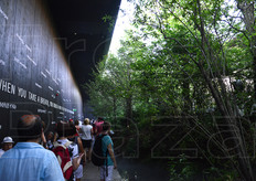 Ai visitatori e' stata proposta l'esplorazione di uno spazio che, in assenza di climatizzazione, e' stato raffreddato dal naturale effetto rinfrescante della evapotraspirazione delle piante.
