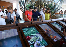 "Il "video", spesso interattivo, e' stata la cifra costante in ogni Padiglione, in specie per raccontare il cibo."