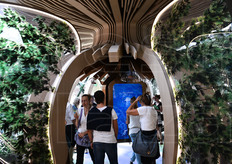 "Il "cuore" di una delle tre sfere azerbaigiane: le lamelle di legno rappresentano la sagoma di un albero rovesciato."