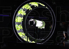 Scendendo nel piano inferiore, il Padiglione del Belgio ha offerto ai visitatori alcune soluzioni tecnologicamente avanzate per la coltivazione sostenibile di cibo, quali l'acquacoltura.