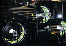 I prodotti ottenuti con questi sistemi sono stati usati nella cucina del Padiglione. In trasparenza, si nota la struttura che sovrastava la scala di vetro per risalire al piano superiore e che rappresentava un filamento di DNA, che celebra la vita.