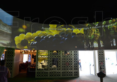 Schermo ad anello sospeso al soffitto nel Padiglione dell'Algeria (Cluster Bio-Mediterraneo).