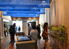 L'interno di un altro paese partecipante al Cluster Bio-Mediterraneo, la Grecia: teli blu sospesi al soffitto, con riferimento alle onde del mare, mentre la parete accanto all'ingresso era disseminata di vasetti con erbe aromatiche, tra cui salvia, origano, menta piperita, lavanda e molte altre.