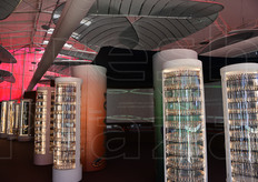 Una delle sale all'interno del Biodiversity Park.