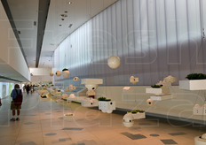 Area aperta (Green Gallery), all'interno del Padiglione del Brasile, con ortaggi, piante, fiori e frutti accompagnati da tavoli interattivi, con giochi e informazioni sulle etnie del Brasile.