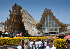 Agricoltura, alimentazione, ambiente, sviluppo sostenibile sono stati i punti focali della partecipazione della Cina a Expo Milano 2015.