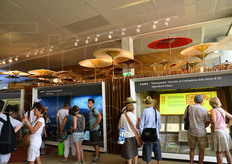 Pannelli esplicativi sulle principali produzioni agricole cinesi.