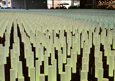 "Superando la prima sala, i visitatori potevano accedere alla sezione "Terra", una grande distesa coperta da ventimila luci al led che, accese, riproducevano paesaggi e coltivazioni cinesi."