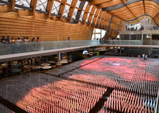 La sala cinese delle ventimila luci.