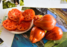 Questo pomodoro tipico abruzzese si presta tanto come insalataro quanto per la preparazione di salse, dati i pochi semi che contiene. La sua coltivazione avviene in pieno campo durante il periodo estivo, nella zona della Val di Sangro.