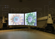 Due esempi di cibi naturali.