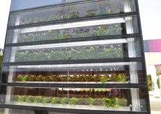 "La "Vertical Farm" (VF) realizzata dall'ENEA, con il contributo di un pool di aziende specializzate del settore, all'interno del "Future Food District" di Expo Milano 2015, di fronte al "Supermercato del Futuro" della Coop."
