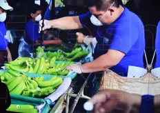 Una fase della lavorazione delle banane nei filmati proiettati all'interno del Padiglione dell'Ecuador.