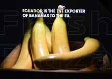 Le banane fanno dell'Ecuador il primo esportatore verso la UE per questo frutto.