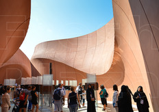 Le imponenti strutture di 12 metri intendevano evocare sia le stradine mezze in ombra degli insediamenti storici degli Emirati Arabi Uniti che le magnifiche dune di sabbia dei suoi deserti. Scansioni 3D delle superfici delle dune sono state riprodotte sulle pareti per creare un'autentica trama. Il Padiglione, smantellato alla fine di Expo Milano 2015, sara' rimontato a Masdar City, città a basse emissioni di carbonio negli Emirati Arabi Uniti, in quanto rappresenta i principi racchiusi nell'etica di sostenibilita' di Masdar.