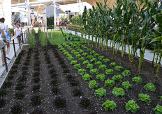 Orti lungo il percorso di accesso al Padiglione francese.