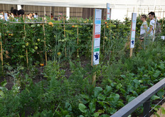 L'accesso al Padiglione della Francia era un vero e proprio labirinto-giardino, che riproduceva tre paesaggi agricoli. Uno dei pochissimi Padiglioni ad aver pensato di inserire le produzione ortofrutticole (reali, non di plastica!) nella propria area espositiva.