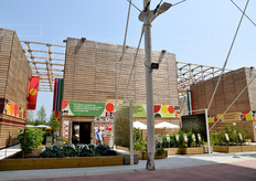 Disseminati nell'area dell'Esposizione Universale, anche alcuni cluster a tema. Taluni Paesi infatti non sono stati raggruppati in padiglioni collettivi secondo criteri geografici, ma secondo identita' tematiche (L'agricoltura e l'alimentazione delle zone aride, Isole Mare e Cibo, Bio-Mediterraneo - Salute, bellezza e armonia) e filiere alimentari (Riso - Abbondanza e sicurezza, Caffè - L'energia delle idee, Cacao - Il cibo degli Dei, Cereali e tuberi - Vecchie e nuove colture, Frutta e legumi, Il mondo delle Spezie). In foto, il (tristissimo, in verita') cluster dedicato a Frutta e legumi.