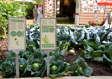 Qualche orticello di fronte all'altrimenti squallido cluster Frutta e legumi.