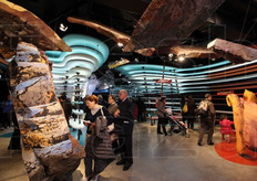 Stratificazioni geologiche nel Padiglione tedesco. La prima parte del percorso del Padiglione tedesco illustrava infatti le fonti dell'alimentazione (suolo, acqua, clima e biodiversita').