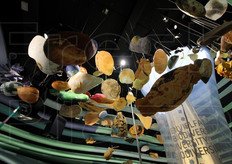 Il tema della biodiversita'.