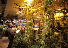 Il vivaio allestito all'interno del padiglione tedesco.