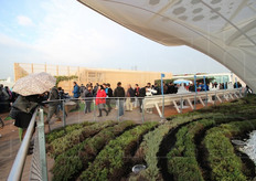 Sul tetto del padiglione della Germania.