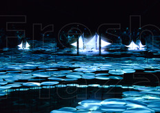 E ora un omaggio alla pesca.