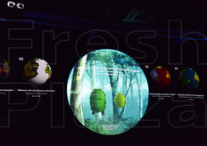 "In una sala successiva, su una "Terra interattiva" sono state mostrati, per mezzo di grandi dati e immagini fotografiche, i problemi alimentari nel mondo e le soluzioni per risolverli proposte dal Giappone."