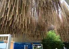 La grande copertura in bambu' nel Cluster tematico Isole, Mare e Cibo.