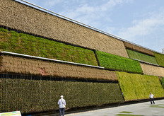 "Il "giardino verticale" del padiglione israeliano."