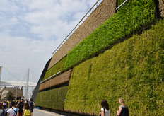 "L'elemento caratterizzante del Padiglione di Israele era il "giardino verticale": una parete lunga 70 metri e alta 12 interamente adorna di piante vive."