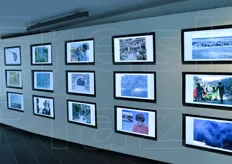 Una parete dedicata ai disastri naturali e idrogeologici.