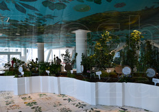 Vogliamo parlare della tristezza di questa sala?