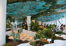 L'immensa biodiversita' del nostro Paese ridotta ai minimi termini...