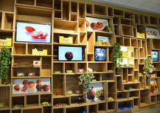 Uno degli spazi lungo il Cardo, di volta in volta allestibili a rotazione da vari soggetti istituzionali. In questo caso, l'allestimento curato dal Cso-Centro Servizi Ortofrutticoli di Ferrara per la presentazione del Progetto Fruitness.