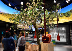 La produzione di mele e' una delle principali coltivazioni agricole del Paese.