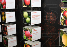 Le diverse varieta' di mele.