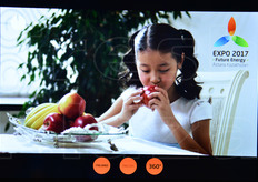 Uno dei visori a effetto 360 gradi, per cui orientandolo cambiava anche l'angolo di visualizzazione dei filmati.
