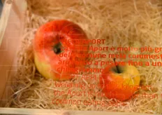 In alcune varieta' locali, come la Aport, le mele del Kazakistan possono arrivare fino al kg di peso.