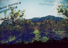 "A concludere l'esposizione, il vero "pezzo forte" del Padiglione kazako: una sala con poltroncine dinamiche che rispondevano alle sollecitazioni di un filmato in 4D. Il video portava gli spettatori dallo spazio cosmico alle steppe e alle coltivazioni kazake, fino alla capitale Astana (che ospitera' l'Expo 2017), in un'esperienza davvero emozionante."