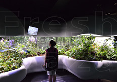 "L'installazione "Silent Lab" nel Padiglione della Repubblica Ceca intendeva riproporre l'esperienza di una foresta, combinando elementi naturali e hi-tech."