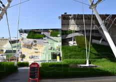 L'area di Expo dedicata alla coltivazione del riso.