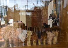 I diversi tipi di cereali della Federazione Russa.