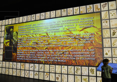 L'istituto di ricerca russo per la coltivazione delle piante intitolato al botanico Vavilov conserva qualcosa come 5.000 varieta' frutticole, il 90% delle quali non si trova in nessun'altra parte del pianeta. Di queste, 1.000 sono le varietà di fragola e centinaia i ceppi di bacche, mele, pere e susine.