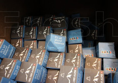 Il sale della terza torre: finito Expo, era rimasto solo un po' di sale e un po' di caffe', niente piu' mele, ne' bicchieri per l'acqua.