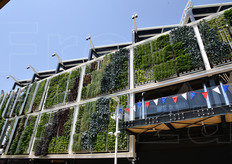 Orti verticali sulle pareti esterne del padiglione USA.