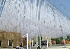 Il Cluster Zone Aride.