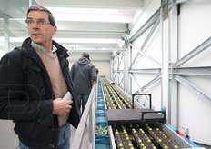 Sulla passerella sopra la calibratrice delle mele. A destra un nastro trasportatore divide le mele a seconda di colore e calibro.